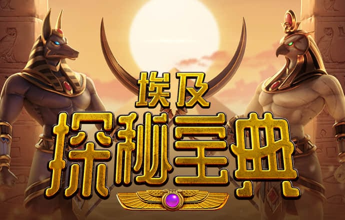 bobty官网截图4